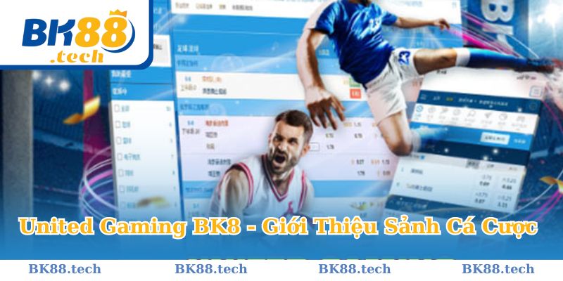 United Gaming BK8 - Giới Thiệu Sảnh Cá Cược Đỉnh Cao Hàng Đầu