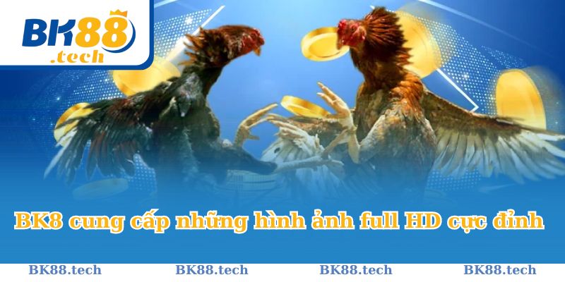 BK8 cung cấp những hình ảnh full HD cực đỉnh