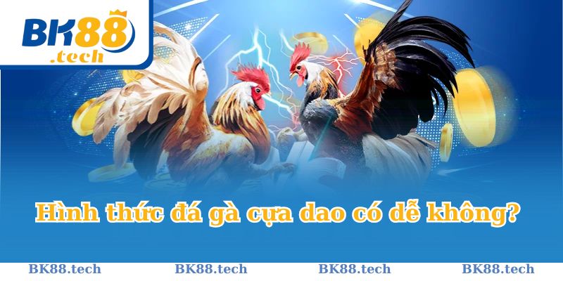 Hiểu hơn về hình thức đấu kê cựa dao