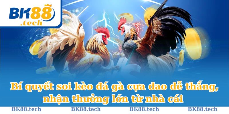 Kinh nghiệm đặt cược đá gà cựa dao