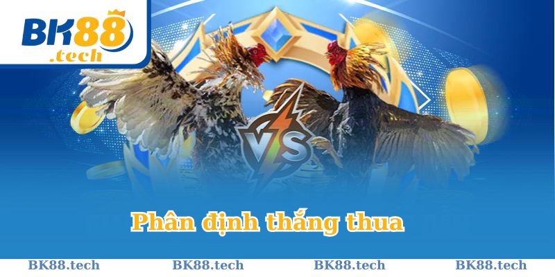 Cách phân định thắng thua trong chọi kê cựa sắt