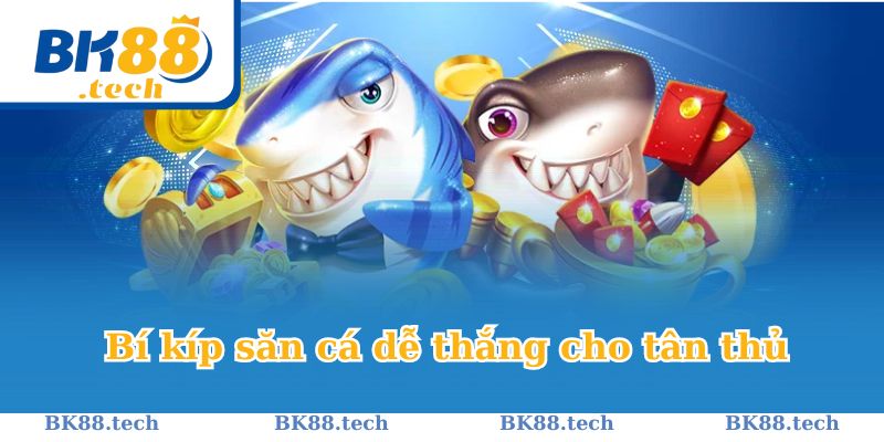 Bí kíp săn cá dễ thắng cho tân thủ