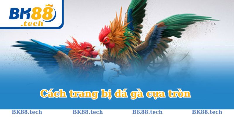 Cách trang bị cựa dao trong giải đấu